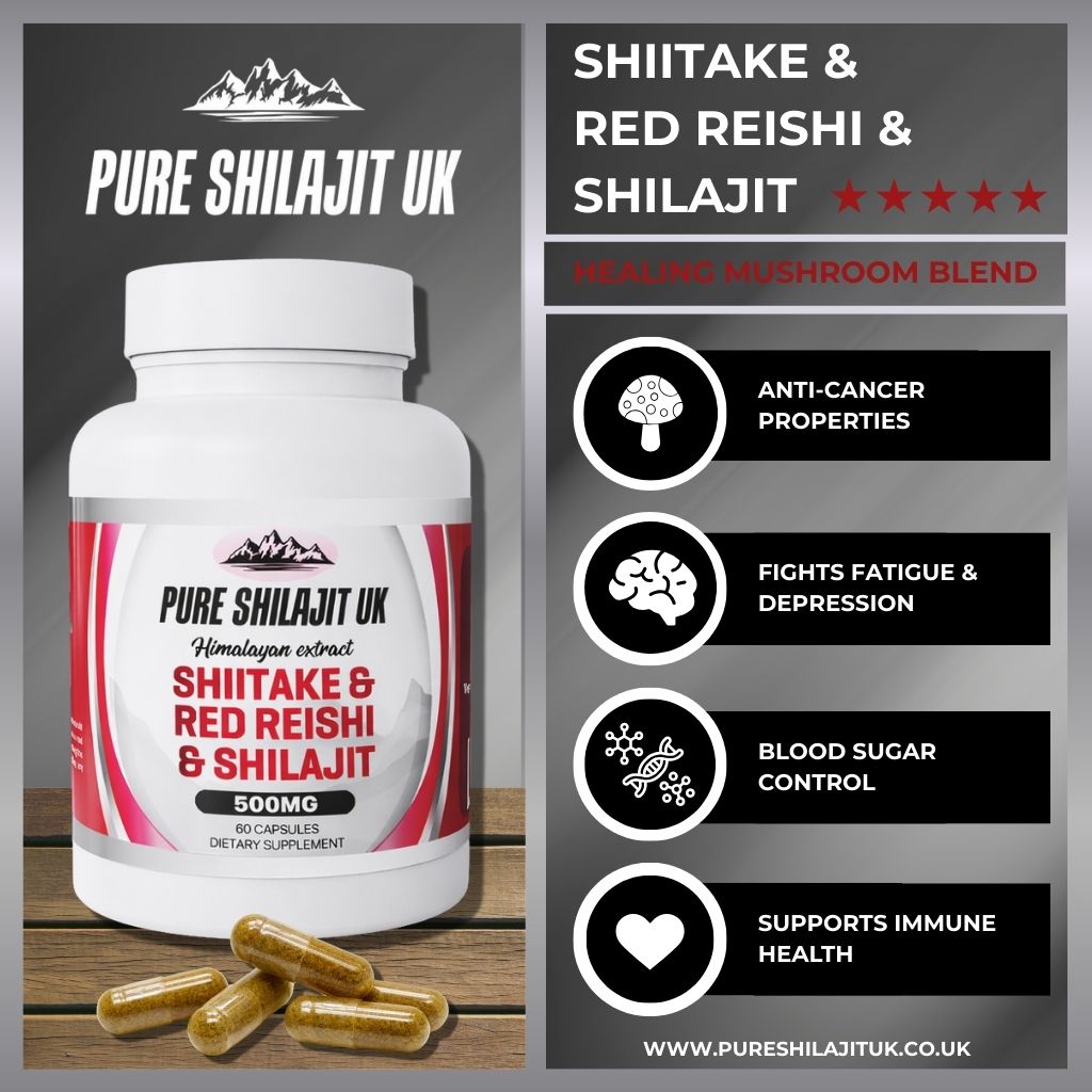Shilajit Resin 60g + Red Reishi, Shiitake & Shilajit Capsules 120 | Immunity & Longevity Bundle