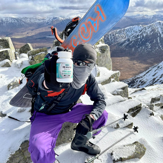 120 LIONS MANE & SHILAJIT EXTRACT CAPSULES + 60G PURE SHILAJIT RESIN