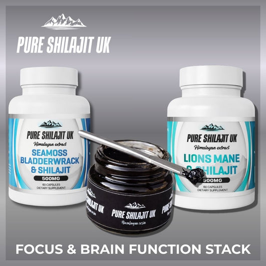 FOCUS & BRAIN FUNCTION STACK