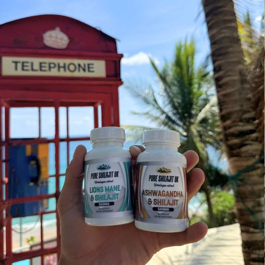 120 ASHWAGANDHA & SHILAJIT EXTRACT CAPSULES + 60G PURE SHILAJIT RESIN