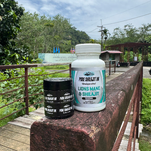Shilajit Resin 60g + Lion's Mane & Shilajit Capsules 120 | Brain & Focus Bundle