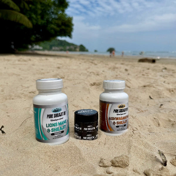 Shilajit Resin 60g + Lion's Mane & Shilajit Capsules 120 | Brain & Focus Bundle