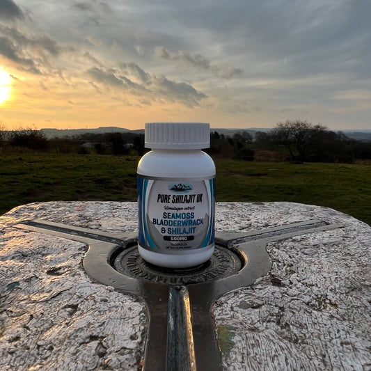 120 SEAMOSS BLADDERWRACK & SHILAJIT EXTRACT CAPSULES + 60G PURE SHILAJIT RESIN